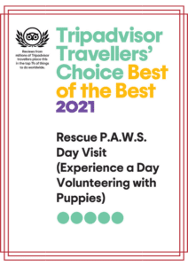 Best Choice Award