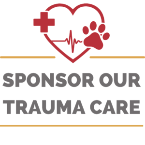 Trauma Sponsorship