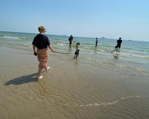 Beach-Walk-1.jpg