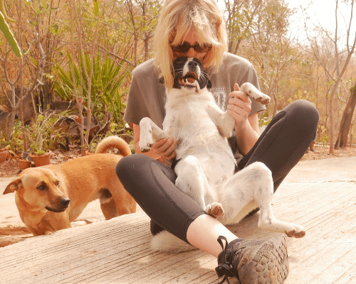 Day Trips Rescue PAWS