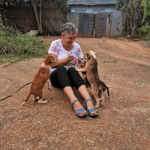Feeding Run Puppies