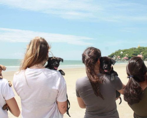 Volunteers on beach walk