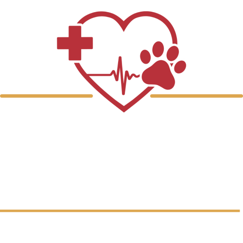 Sponsor Our Trauma Care  Transparent
