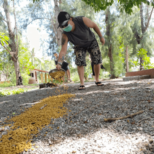 Volunteers on Feeding Runs