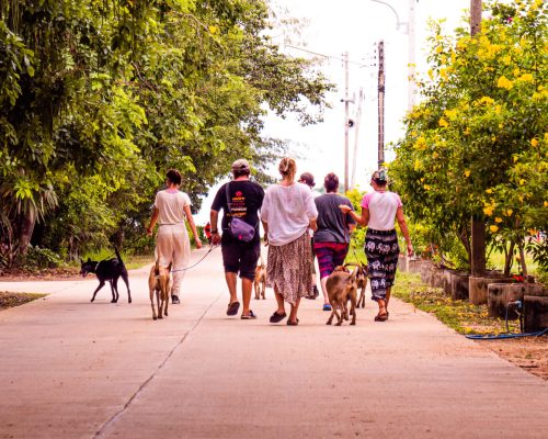 Volunteers-walking-to-the-beach-scaled.jpg